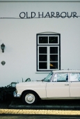IIP Online Student Photography